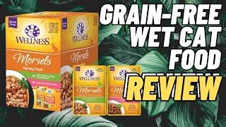 Wellness Morsels Cat Food Review