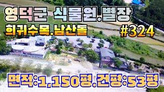 #324 영덕군 남향의 강을접하고 희귀수목과 남산돌로 장식된 최고의 별장.캠핑장.연수원.수련원등 추천 - ‎@강산부동산TV 