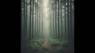 Shadows in the Forest mc flexx nl