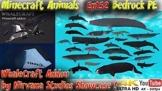 WhaleCraft Addon by Nirvana Studios Showcase Bedrock PE Minecraft Animals Ep132