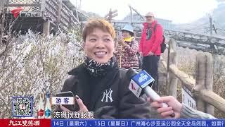 【DV现场】冷空气“到货” 清远金子山现雾凇冰冻|广州海珠：垃圾站房突然起火 街坊齐心扑火|彩虹桥站施工围蔽结束 流花路今起恢复通车|20241214完整版#粤语 #news