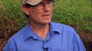 Soil at the Center - Henry Ferguson