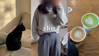 sub) Office workday routine vlog  I adopted a cat!! another productive week, wake up at 6.30?