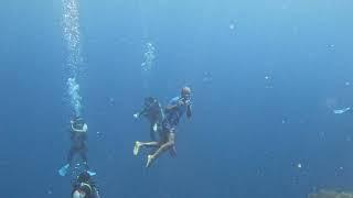 Passport Bro/Digital"Aqua"Nomad Freediving alongside Scubadivers at  Sea 