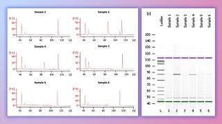 Forensic DNA Profiling, Part I