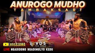 WAROK AMT ANUROGO MUDHO TAMBAKSARI - LIVE NGADIDONO NGADIMULYO KEDU TEMANGGUNG