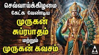 Tuesday Powerful Murugan Suprabatham And Muruga Kavasam | Murugan Bakthi Padalgal