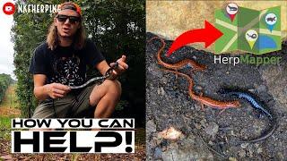 How Can YOU Help Reptile and Amphibian Conservation? HerpMapper and Citizen Science