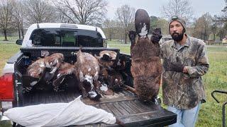 Last Haul of Beaver for the Season #lazypondfarm Fish & Hunt