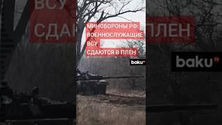 Сводка Минобороны РФ о ходе боевых действий в Курской области (по состоянию на 13 октября 2024 г.)