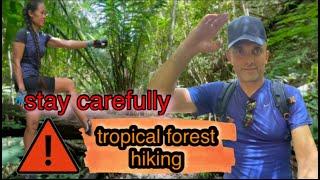 Hiking Singapore - How is hiking in the tropical forests?