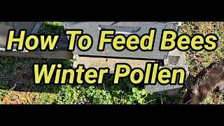 How To Feed Bees Winter Pollen