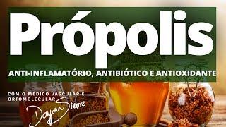 PRÓPOLIS. Anti-inflamatório, Antibiótico e Antioxidante | Dr. Dayan Siebra