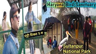 Sultanpur National Park GurgaonSultanpur Bird Sanctuary - Open orClosed, Best Time To Visit