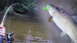 Michigan Salmon Fishing 2022: Casting Spinners and Floating Skein