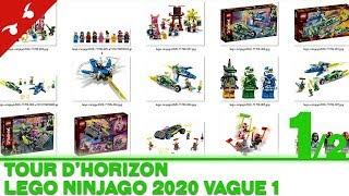 [TOUR D'HORIZON] LEGO Ninjago 2020 Vague 1 (1/2) [FR]