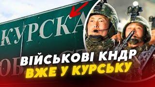 Військові КНДР прибули на Курщину : ЩО ВІДОМО ?