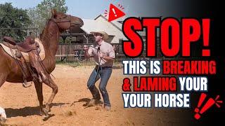 Never Do These Horrible Natural Horsemanship Exercises Again (If You Like Your Horse)