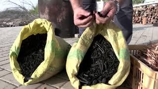 Could biochar help limit carbon emissions?