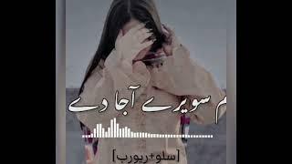 Vigar_gai_a_thory_dina_to__slow_reverb__Saraiki_song_viralvideo