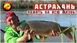 Fishing and recreation in Astrakhan from A to Z / Memory for life