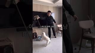 800만 사람 무는 폭력적인 강아지 행동교정법
