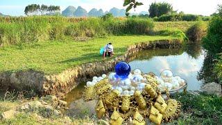   Clams contain large sapphire pearls, which are too precious