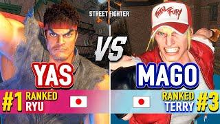 SF6  YAS (#1 Ranked Ryu) vs MAGO (#3 Ranked Terry) & KINCHORU (Terry)  SF6 High Level Gameplay