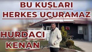 BU KUŞLARI HERKES UÇURAMAZ - HURDACI KENAN KÜMES ZİYARETİ OYUNKUŞU UÇUMU