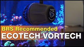 Worth it? The EcoTech VorTech MP10 , MP40 and MP60 review - It’s BRS recommended.