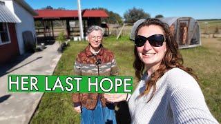 The Farm Gave Her LIFE When Doctors Gave Her MONTHS to Live (Shepherds Hill Farm)