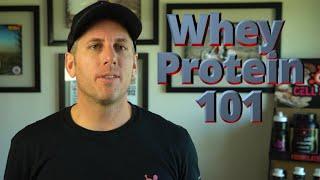 Protein Powder 101 - Whey Isolate Vs Whey Concentrate Vs Whey Hydrolysate