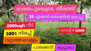 15 Acre Super | Coconut Farm On Bharathapuzha River For Sale | Palakkad | Ottapalam (സെന്റ്‌ 32000)