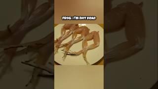 Dead animals caught moving | #animals #facts #animalfacts #factvideo