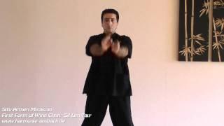 Privatschule Harmonie: Armen Minasjan - Sil Lim Tau (Wing Chun)