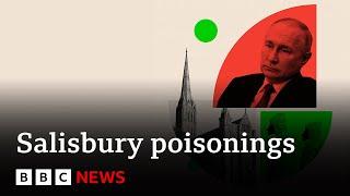 Russia's ambassador to UK appears to appears to laugh and dismiss Novichok inquiry | BBC News