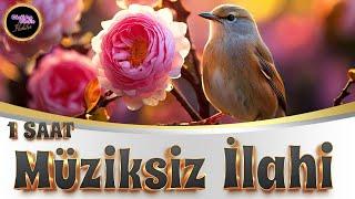 1 SAAT MÜZİKSİZ İLAHİ KEYFİ | EN GÜZEL İLAHİLER | HAYIRLI CUMALAR