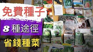 Where to get free seeds【免費種子】哪裡可以取得免費蔬菜水果種子？如何找到免費種子？不用買種子也能種 | 免費的種子哪裡找 | 超市買來直接種！再生蔬菜【省錢種菜法】