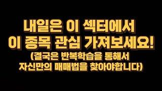 내일은 이 종목 관심가져 보시기 바랍니다.(결국은 반복학습을 통해 자신에게 맞는 매매법을 찾아아야합니다)