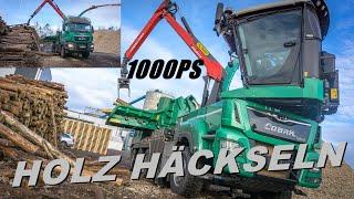 HOLZ HÄCKSELN XXL | 2x JENZ HACKER | HIT HOLZ TORGAU | COBRA hybrid | MAN POWER