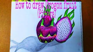 How to draw drogon fruit (pitaya) step by step for biggner