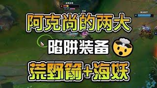 阿克尚的两件陷阱装备！荒野箭+电刀