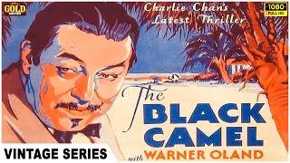 Charlie Chan  Black Camel 1931 l Hollywood Thriller Hit Movie l  Warner Oland , Sally Eilers