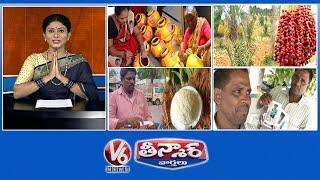 Bonalu Festival | Date Palm Farming | Coconut Flower Benefits | Father Fight For son | V6 Teenmaar