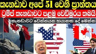 ට්‍රම්ප් කැනඩාවට පළමු වෙඩිමුරය තබයි | කැනඩාවට සිදුවෙන්න යන භයානක දේ මෙන්න