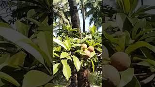 YouTube#short#viralshort#short#video