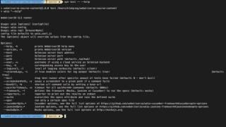 Storing cloud Selenium credentials in WebdriverIO