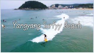 [Hidden Charms of Korea: Gangwon-do] Yangyang Surfyy Beach / 양양 서피비치