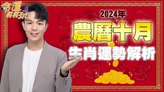 農曆十月生肖運勢解析！最旺運生肖2024年末即將大豐收！三合貴人財運躍進好運擋不住！加碼公開「最衰三生肖」如何躲過衰運！｜【命運好好玩每周精選】