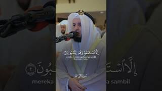 Most Beautiful Quran Recitation By Sheikh Mishary Rashid Al Afasy #quranrecitation